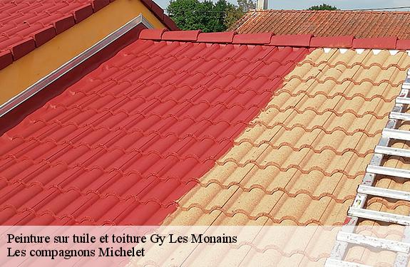 Peinture sur tuile et toiture  45220
