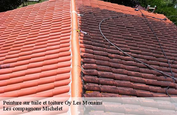 Peinture sur tuile et toiture  45220