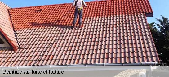 Peinture sur tuile et toiture  45620