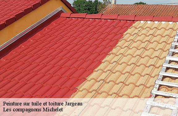 Peinture sur tuile et toiture  45150