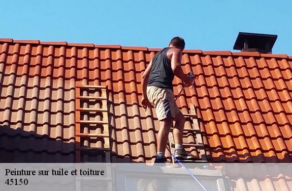 Peinture sur tuile et toiture  45150