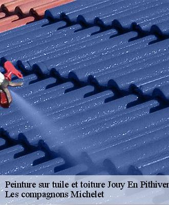 Peinture sur tuile et toiture  jouy-en-pithiverais-45480 Les compagnons Michelet