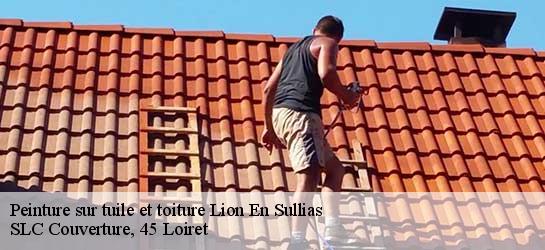 Peinture sur tuile et toiture  45600