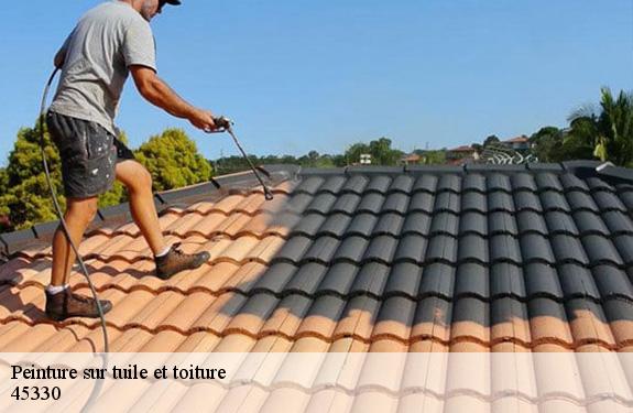 Peinture sur tuile et toiture  45330