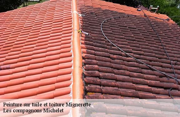 Peinture sur tuile et toiture  45490