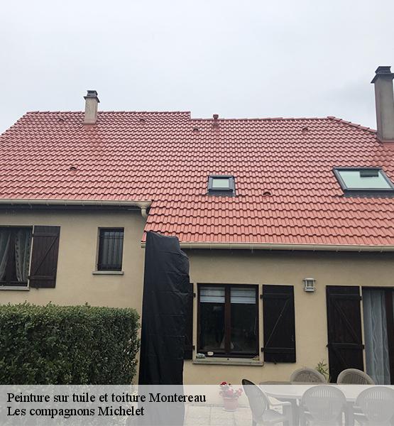 Peinture sur tuile et toiture  montereau-45260 Les compagnons Michelet