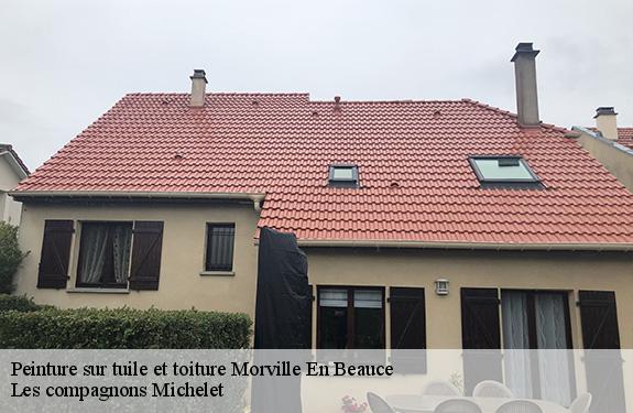 Peinture sur tuile et toiture  45300