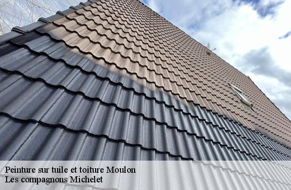 Peinture sur tuile et toiture moulon-45270 Les compagnons Michelet