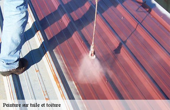 Peinture sur tuile et toiture 45270