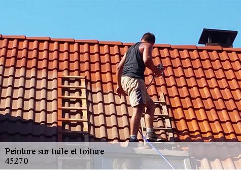 Peinture sur tuile et toiture  nesploy-45270 Les compagnons Michelet