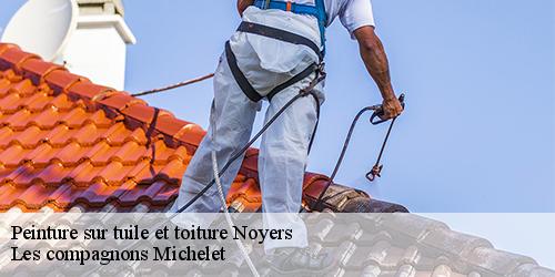 Peinture sur tuile et toiture  noyers-45260 Les compagnons Michelet