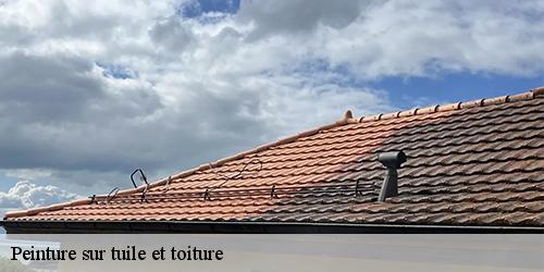 Peinture sur tuile et toiture  orveau-bellesauve-45330 Les compagnons Michelet