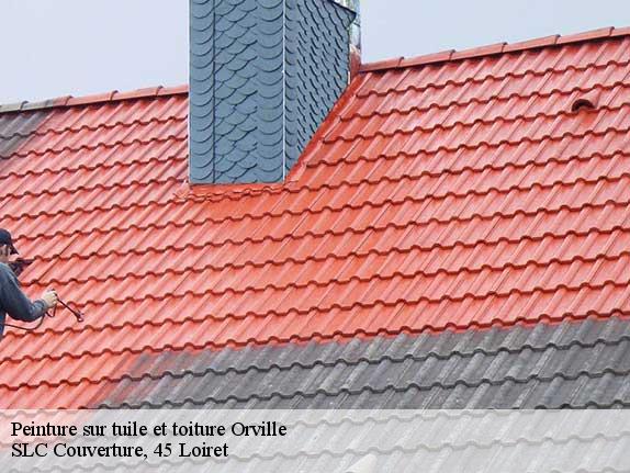 Peinture sur tuile et toiture  orville-45390 SLC Couverture, 45 Loiret