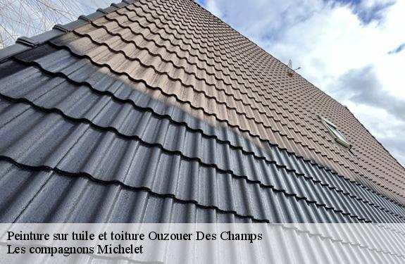 Peinture sur tuile et toiture ouzouer-des-champs-45290 Les compagnons Michelet