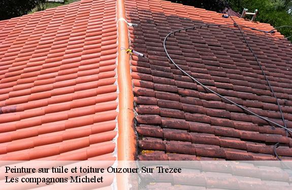 Peinture sur tuile et toiture 45250