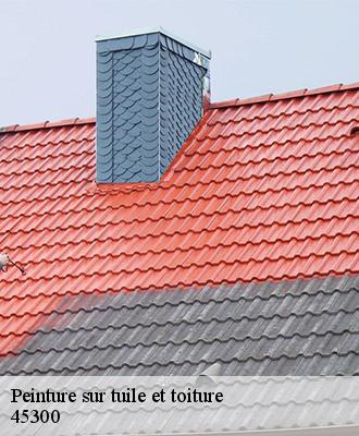 Peinture sur tuile et toiture  pithiviers-le-vieil-45300 Les compagnons Michelet