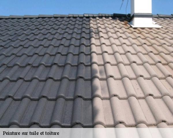 Peinture sur tuile et toiture  saint-aignan-des-gues-45460 Les compagnons Michelet