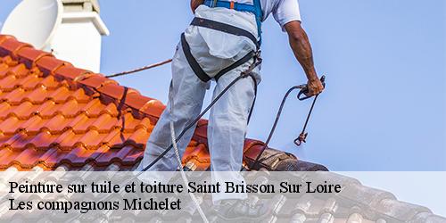 Peinture sur tuile et toiture  saint-brisson-sur-loire-45500 Les compagnons Michelet