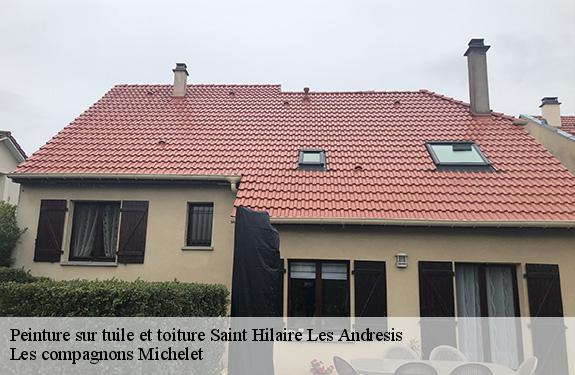 Peinture sur tuile et toiture 45320