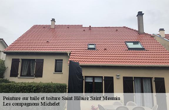 Peinture sur tuile et toiture  45160