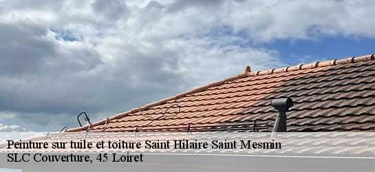 Peinture sur tuile et toiture  45160