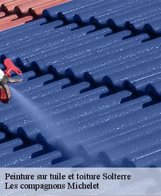 Peinture sur tuile et toiture  solterre-45700 Les compagnons Michelet