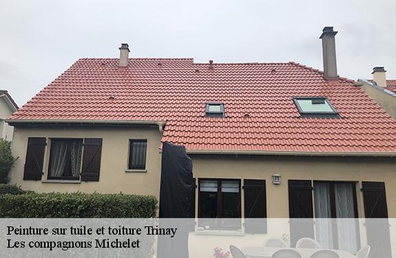 Peinture sur tuile et toiture  45410