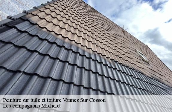 Peinture sur tuile et toiture  vannes-sur-cosson-45510 Les compagnons Michelet