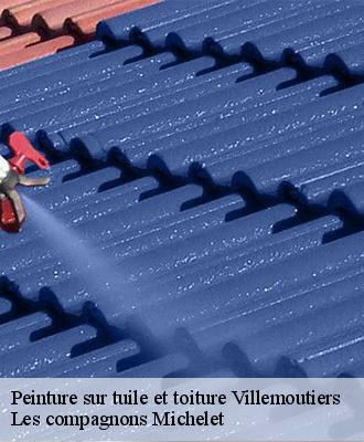 Peinture sur tuile et toiture  villemoutiers-45270 Les compagnons Michelet