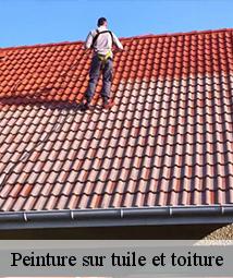 Peinture sur tuile et toiture  villeneuve-sur-conie-45310 Les compagnons Michelet