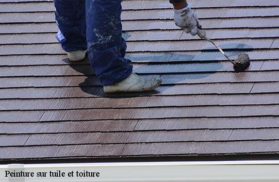 Peinture sur tuile et toiture  45290