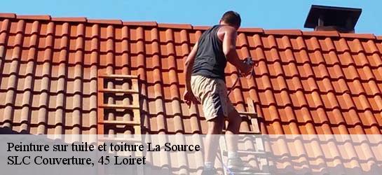 Peinture sur tuile et toiture  45100