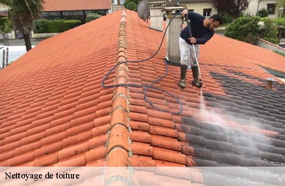 Nettoyage de toiture Loiret 