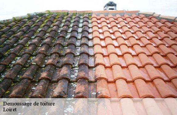 Demoussage de toiture Loiret