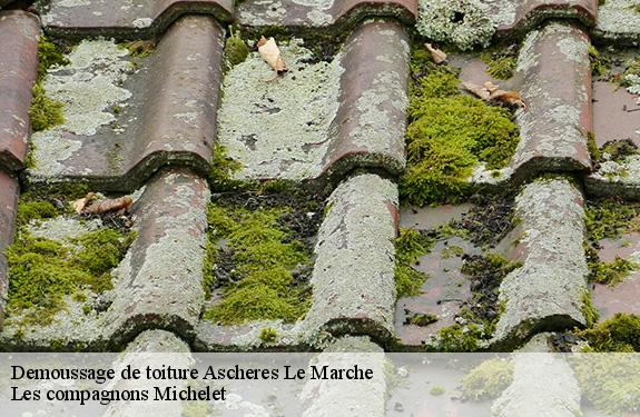 Demoussage de toiture 45170