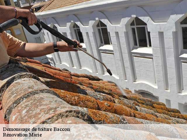 Demoussage de toiture  baccon-45130 Rénovation Marie