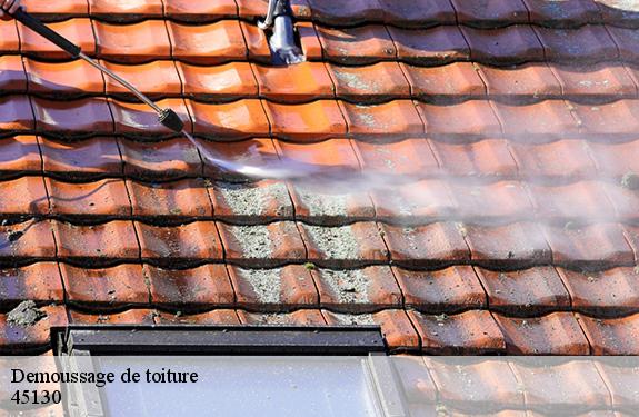 Demoussage de toiture  45130