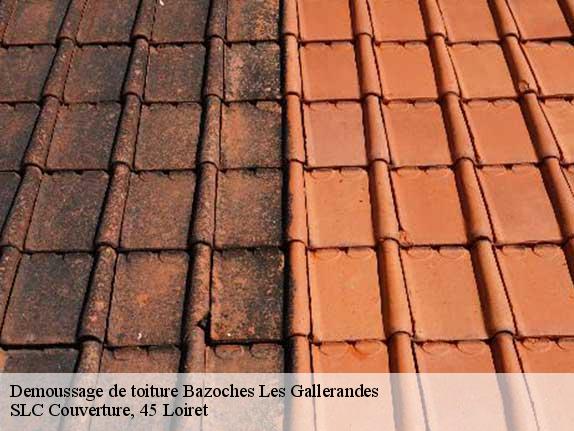 Demoussage de toiture  45480