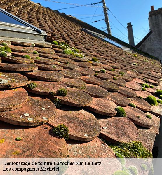 Demoussage de toiture  bazoches-sur-le-betz-45210 Les compagnons Michelet