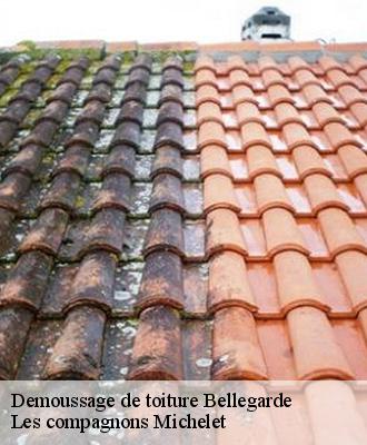 Demoussage de toiture  bellegarde-45270 Les compagnons Michelet