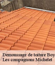 Demoussage de toiture  boynes-45300 Les compagnons Michelet