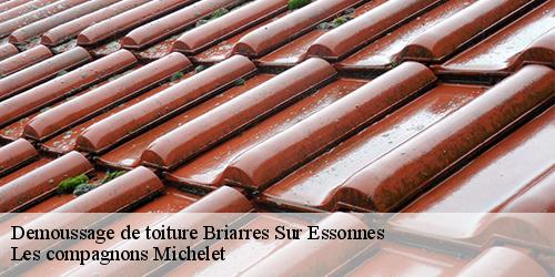 Demoussage de toiture  briarres-sur-essonnes-45390 Les compagnons Michelet