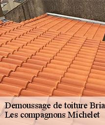 Demoussage de toiture  briarres-sur-essonnes-45390 Les compagnons Michelet