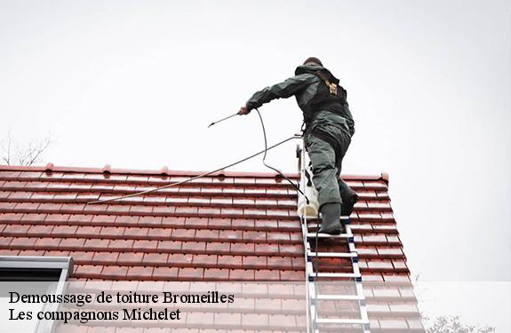 Demoussage de toiture 45390