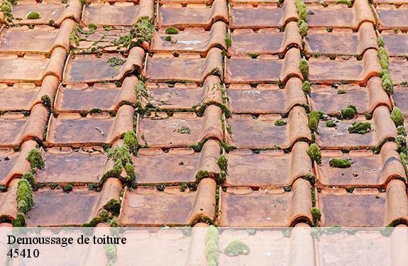 Demoussage de toiture 45410