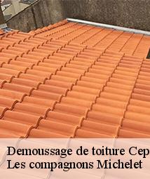 Demoussage de toiture  cepoy-45120 Les compagnons Michelet