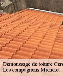 Demoussage de toiture  cercottes-45520 Les compagnons Michelet