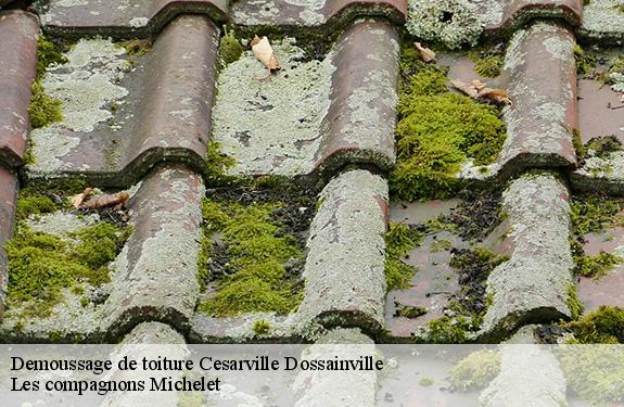 Demoussage de toiture  45300