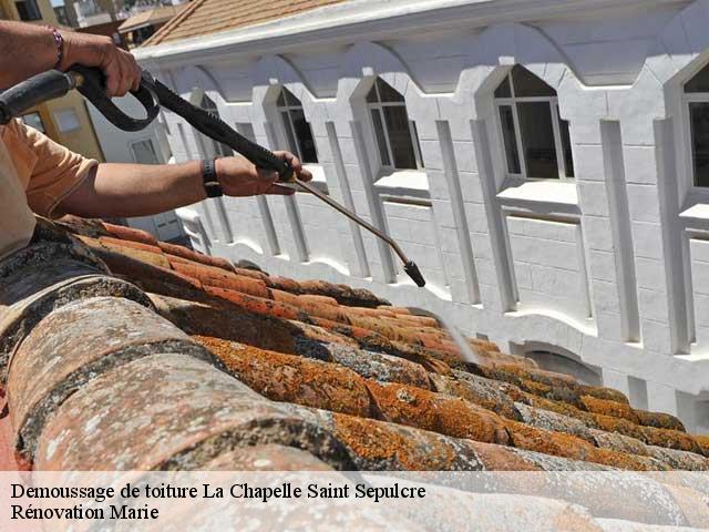 Demoussage de toiture  la-chapelle-saint-sepulcre-45210 Rénovation Marie