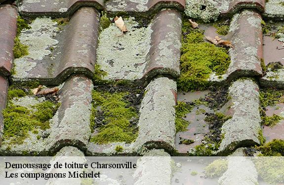 Demoussage de toiture  45130